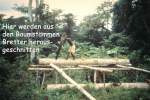 bild31.jpg --- erstellt mit  - www.abbe-felix.de